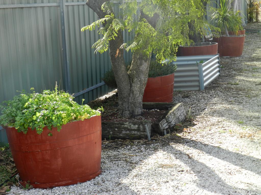 הורסהאם Smerdon Lodge Motel מראה חיצוני תמונה